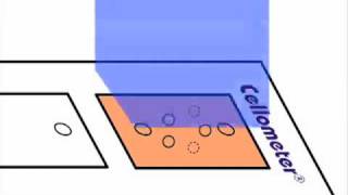 How Dualfluorescent AOEB Assays Work for Cell Concentration and Viability [upl. by Elleinnad]