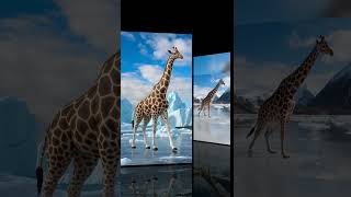 Giraffe and Penguin Wildlife Worlds ApartquotGiraffeAndPenguinWildlifeWorldsApartNatureDiversity [upl. by Curran442]