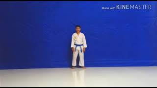 Karate  Kata 123 [upl. by Tremayne]