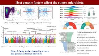 iMeta  Genome and transcriptome to uncover the host–microbiome interactions in rumen methanogenesis [upl. by Inilam]