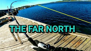 Shore fishing in the FAR NORTH of Arctic Norway [upl. by Nakada687]