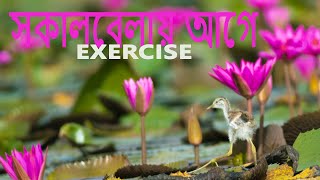 Rise and Shine Energizing Morning Exercise Routine [upl. by Kettie]