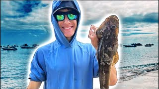 MASSIVE FLATHEAD off a remote pier [upl. by Seerdi]