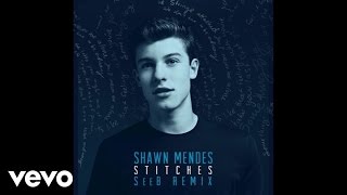 Shawn Mendes  Stitches SeeB Remix  Official Audio [upl. by Alihet]