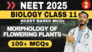 MOST WANTED MCQS FOR NEET 2025  MORPHOLOGY neet2025 [upl. by Shelton]