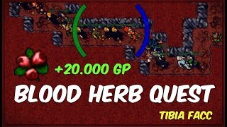 Jak Szybko Zarobić 20k GP  Blood Herb Quest  Tibia FACC [upl. by Lemire]