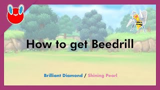 How to get Beedrill in Pokémon Brilliant Diamond amp Shining Pearl 015 [upl. by Desma]