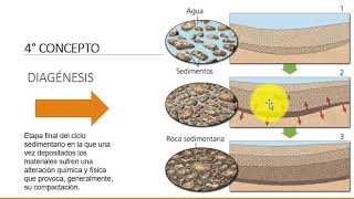 Procesos Sedimentarios [upl. by Zimmer]