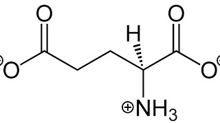 Excitatory neurotransmitter “Glutamate “ [upl. by Douville]