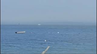 Humpback Whale Islesboro Maine [upl. by Loraine]