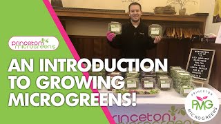 How to Grow Microgreens An introduction to our new Microgreens Series [upl. by Lisab]