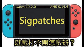 如何使用Sigpatches NSP遊戲打不開怎麼辦 [upl. by Shanon]