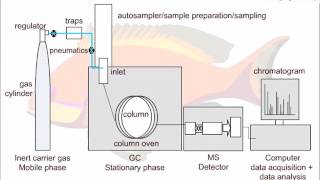 Strategies for GCMS Method Development [upl. by Kucik]