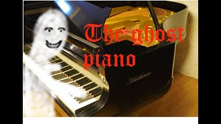 Blüthner Pianomation Sarbachpiano [upl. by Delaney958]