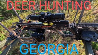 Crossbow DEER HUNTING on GEORGIA PUBLIC LAND [upl. by Seldan]