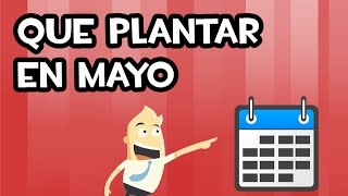 Que SEMBRAR y PLANTAR en MAYO  Calendario de Siembra [upl. by Jacki219]