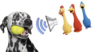 Dog Squeaky Toy  Sounds that attract your dogs attention HQ [upl. by Nirehtak9]