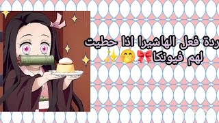 ردة فعل الهاشيرا اذا حطيتي لهم فيونكا 🎀🤭✨طلب متابعه [upl. by Sulakcin]