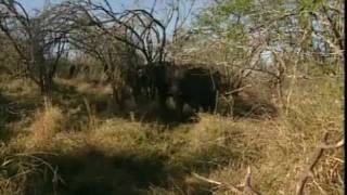 In die Voetspore van die ou Grotes  Episode 11  Swaziland [upl. by O'Neil703]