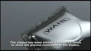 Wahl Clipper Blades [upl. by Acinehs]