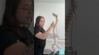 STATIC PALPATION gonsteadmethod gonsteadwellness foryou chiropractic gonsteadwellness [upl. by Ellehcir]