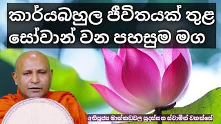 කාර්යබහුල ජීවිතයක් තුළසෝවාන් වන පහසුම මගmankadawala sudassana theromankadawala sudassana thero 2024 [upl. by Sesmar622]