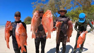 A to Z Spearfishing  spearfishing the Bunker Group on The Great Barrier Reef of Australia 🇦🇺 [upl. by Theodosia]