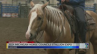 2024 Michigan Horse Expo [upl. by Aniratac822]