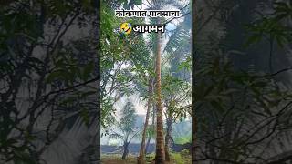 कोकणात पावसाचा आगमन🌧️🤣 पावसाळी जीवन  Pavsala  monsoon  pavsala shorts nature kokan [upl. by Odlabu]