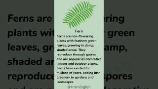 Fern  Learn English Through Story  English listening Practice shorts [upl. by Edan]