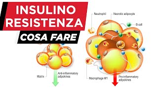 Insulino resistenza e perdita di peso [upl. by Einttirb]