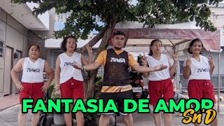 FANTASIA DE AMOR  Dance Trend Remix  Dance Fitness  SHAKE n DANCE [upl. by Aleksandr]