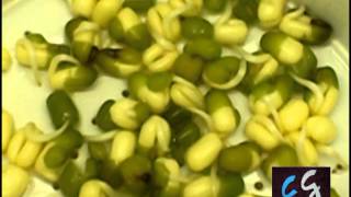 DIYTutorial sencillo germinados Brotes de soja [upl. by Icart751]