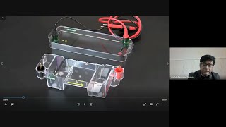 Agarose Gel Electrophoresis amp Casting an Agarose Gel [upl. by Brott969]