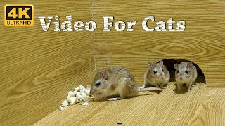 CAT TV  Mice Video For Cats To Watch amp Enjoy  Entertainment For Cats To Watch Mice  4K UHD [upl. by Elimay]