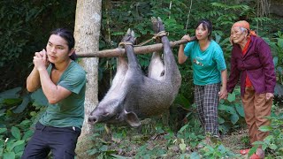 detecting wild boars making traps to catch them and raise them farm life SURVIVAL ALONE [upl. by Carny]