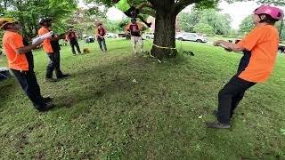 New York State Arborist Tree Climbing Competition Speed Climb [upl. by Gautier]