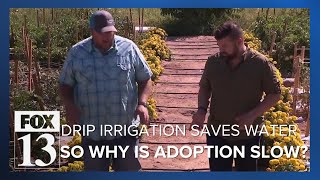 Drip irrigation grows crops with a lot less water so why arent more Utah farmers using it [upl. by Vanessa94]