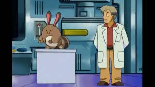 professor oak getting attacked by sentret [upl. by Eendyc978]