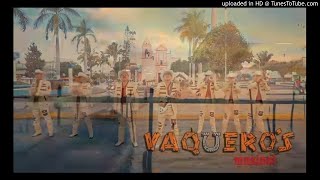 Vaqueros Musical  Mi Lindo Nayarit [upl. by Liuqnoj]