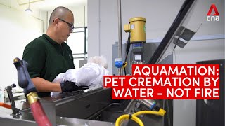 Aquamation When a pet is cremated by water – not fire [upl. by Casilde]