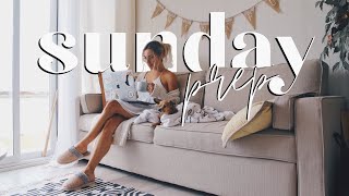 how I organize amp prep for a new week ♡ VLOG 33 [upl. by Lydnek]