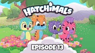 Hatchimals  Episode 11  Down the Hatch  TEAM HATCH YouTube Series [upl. by Hosbein622]