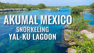 YalKu Lagoon Snorkeling  AKUMAL MEXICO 4K 2024 [upl. by Ayotahc876]