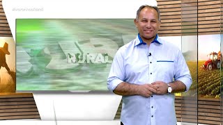 Programa Maranhão Rural  171124  COMPLETO [upl. by Namar]