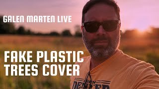 Fake Plastic Trees Radiohead Cover Live at Dockside Cafe Sandusky Oh [upl. by Ynnep125]