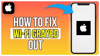 How To Fix WiFi Greyed Out On iPhone iOS 18 2024 [upl. by Yllehs]