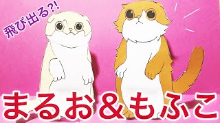 【ヒカキン 】まるお＆もふこの飛び出すカードの簡単な作り方！HikakinTV【猫・かわいい】 [upl. by Drusus]