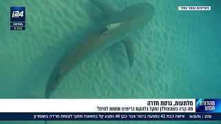 מלתעות גרסת חדרה מה קרה כשצוללן נתקל בלהקת כרישים מתחת למים [upl. by Doralia]