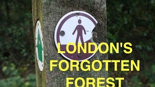 The Forgotten Forest of London [upl. by Llednol]